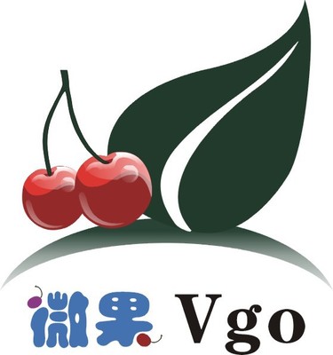 嚴(yán)達(dá)計算機(jī)軟硬件簡介